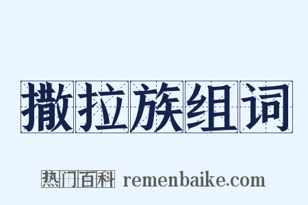 撒拉族组词是什么意思的图片